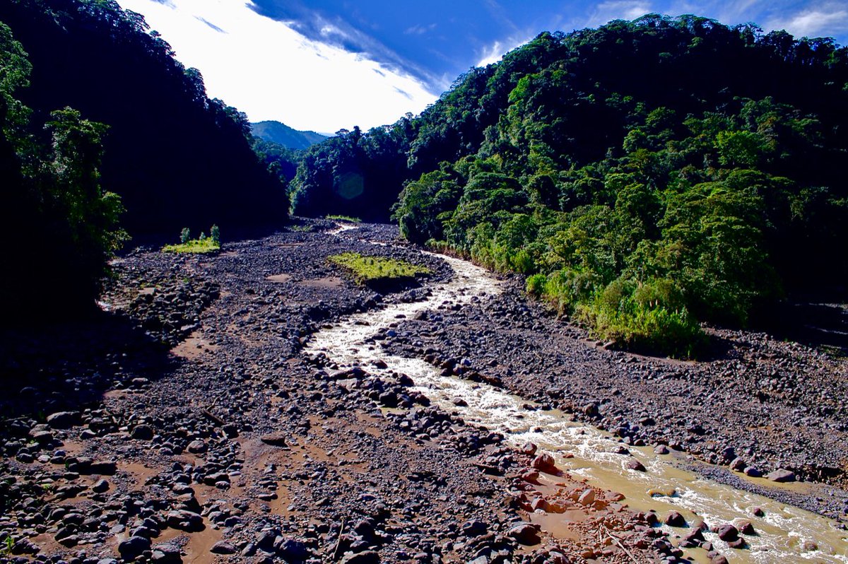 CRI_News's tweet photo. Happy #WorldRewildingDay ! #CRI scientists are studying how our #rivers can heal themselves by focusing on the role of protected natural areas to support watershed-scale #rewilding

https://t.co/lax16UwVuB 

#ReadyToRewild #RewildingRivers

https://t.co/lxFxt0m9PZ https://t.co/5r9rLyc2qp