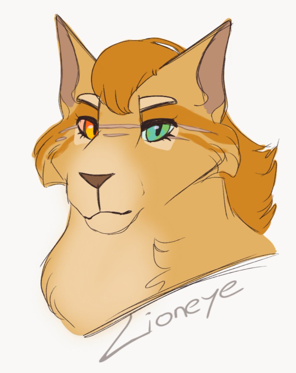 vhsdvst's tweet photo. I don't even know who this is I just like her name
#warriorcats #lioneye https://t.co/vfekRcyMJI