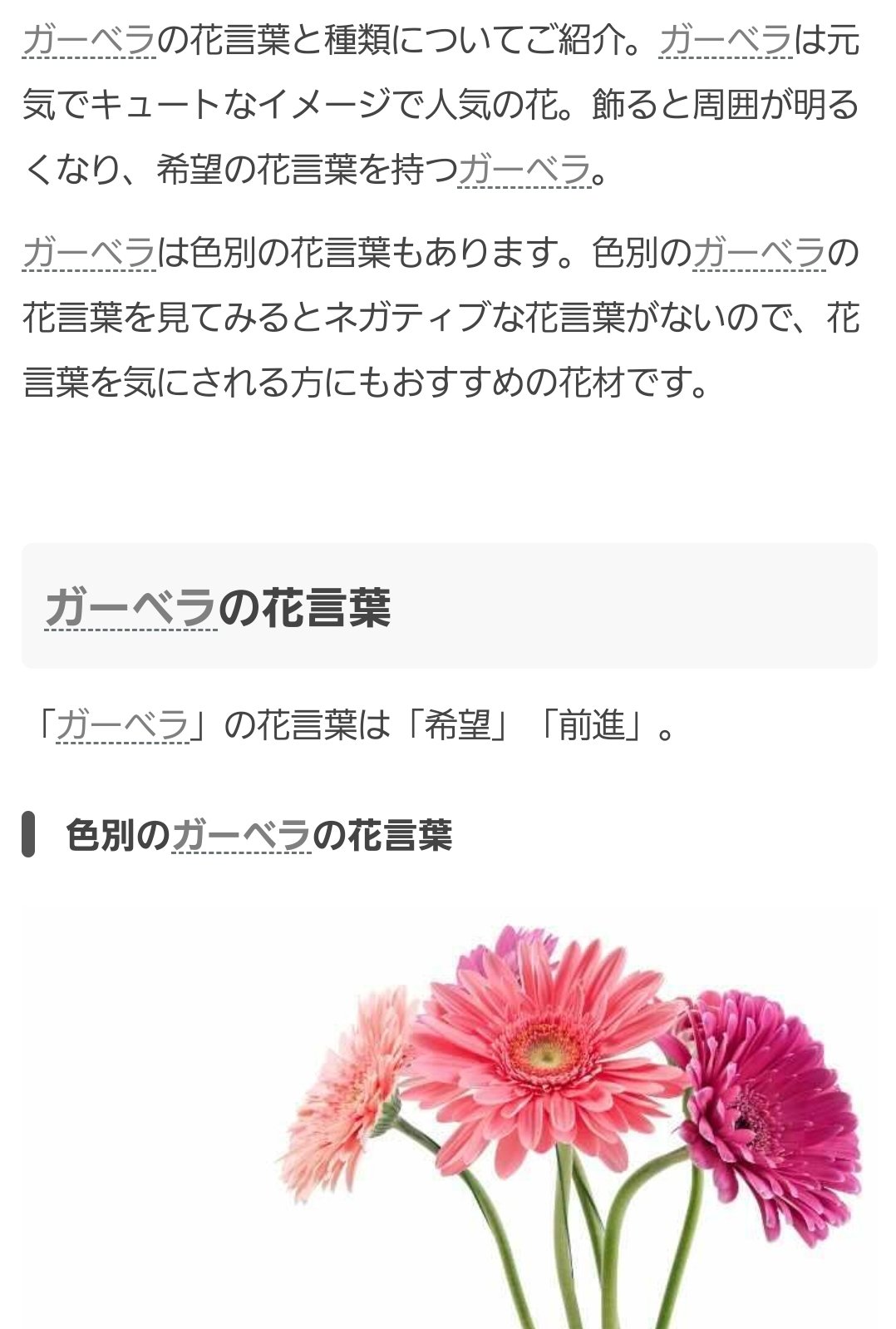 やわ Mappaさんの悠仁くんの誕生日イラスト 野薔薇ちゃんが持ってる花ガーベラかな 元気でキュート 周囲が明るく なる ネガティブな花言葉がない がめちゃくちゃ悠仁 って感じで良 T Co Oawyznxkk4 Twitter