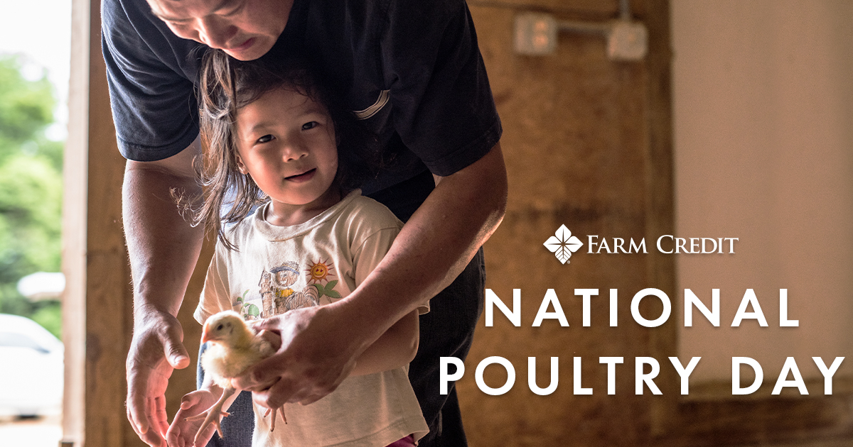 #ArkAg facts for #NationalPoultryDay:
🐔6,500+ farms in Arkansas produce some type of poultry
🐓The poultry industry employs 163,000+ Arkansans
🐣AR poultry = 52% of total ag cash receipts
🐤#1 poultry producing county = Benton Co.
🍗AR is 2nd in the nation for broiler production