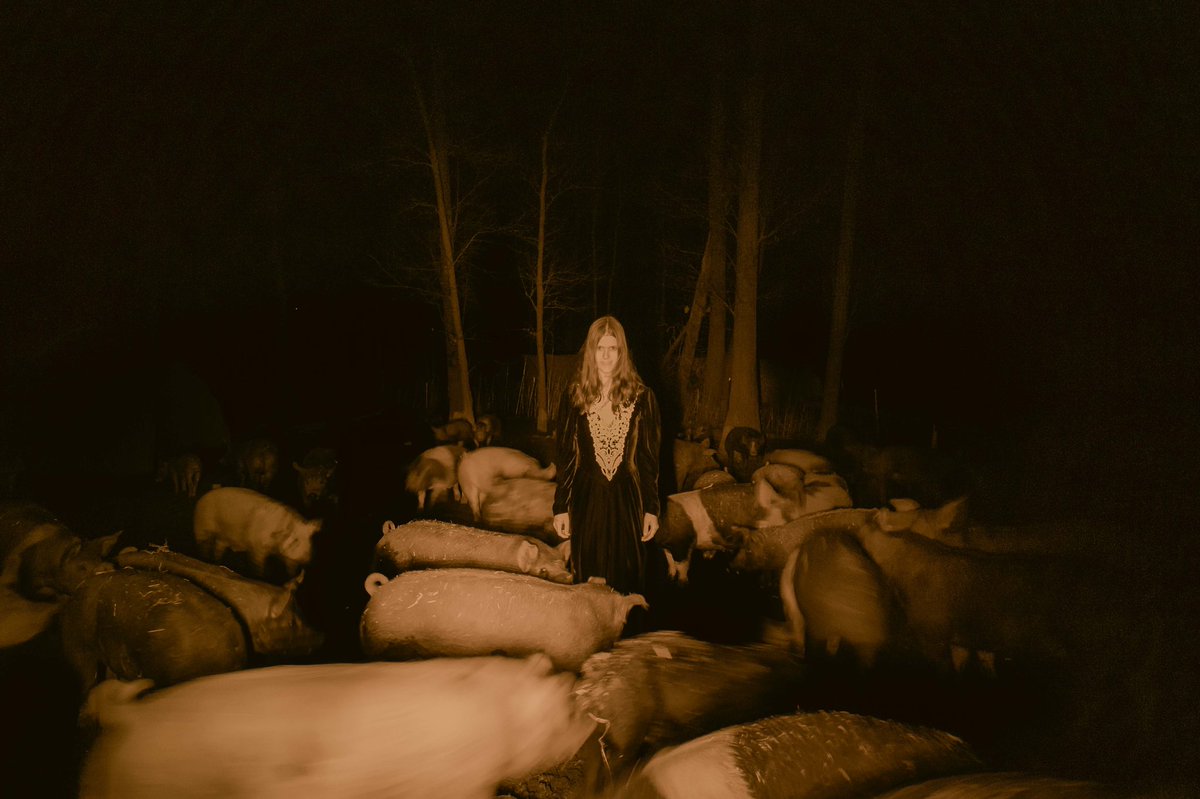 briscoepark's tweet image. Save Us