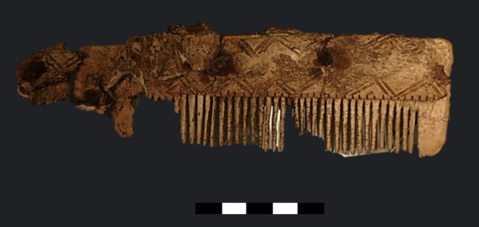 ile_mic's tweet photo. Bone comb. Central core made up of seven toothed blades and held together by five iron studs (6th - 8th c. CE from the #necropolis of #Selvicciola, Museum of Ischia di Castro VT, IT)
#FindsFriday #Longobard #lablife
#womeninscience #bonescience
#bioarchaeology https://t.co/vWohAmRPZ9