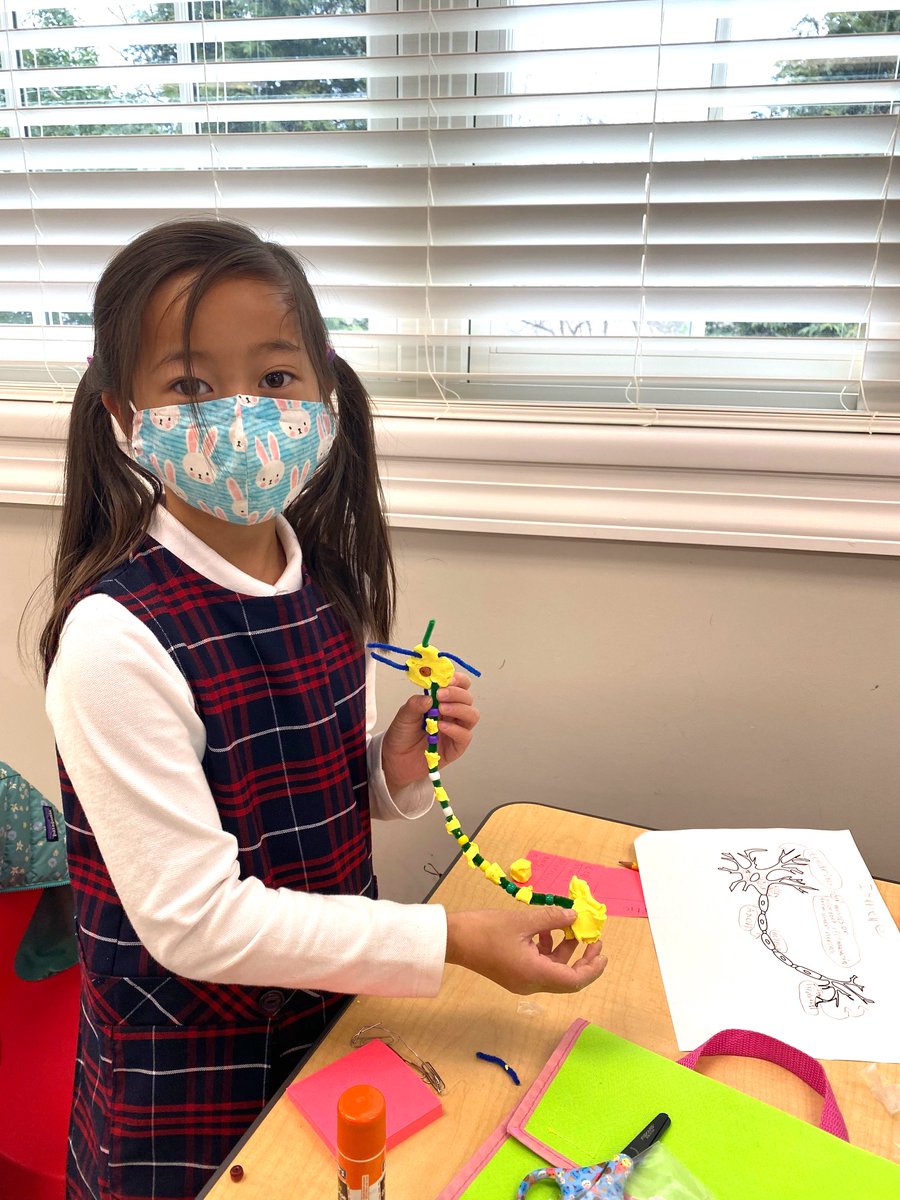 At St. Andrew's, understanding how the brain learns and grows and applying that knowledge to teaching is central to our educational philosophy. To celebrate Brain Awareness Week, second graders learned about the parts of neurons, labeled diagrams, and built neurons of their own.