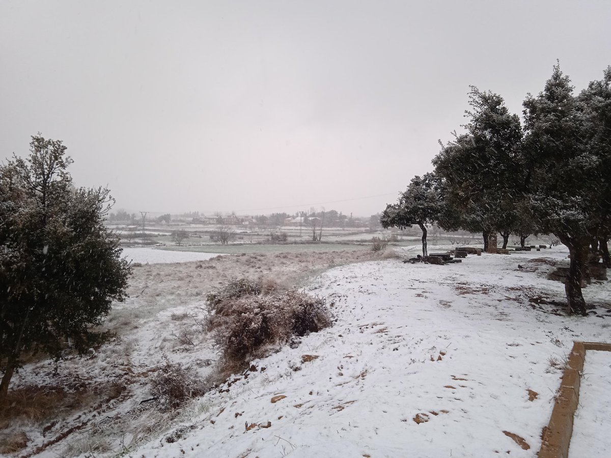 Hardacho's tweet photo. Nieve primavera en @ElToro1009 @avamet @MeteoBetera @llobiols @apuntoratge @oratgenet https://t.co/UUppe1unGa