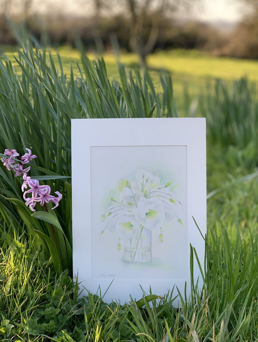 shumilne's tweet photo. On the Gallery Wall today - White &amp; Green Lisianthus.  These beautiful Lisianthus symbolise gratitude &amp; appreciation
A4 signed original watercolour in card mount = £38
or signed, limited edition prints, also A4 in card mount = £18  Plus P&amp;P - p.s. I ship worldwide in any currency https://t.co/aRVrxnzkhi