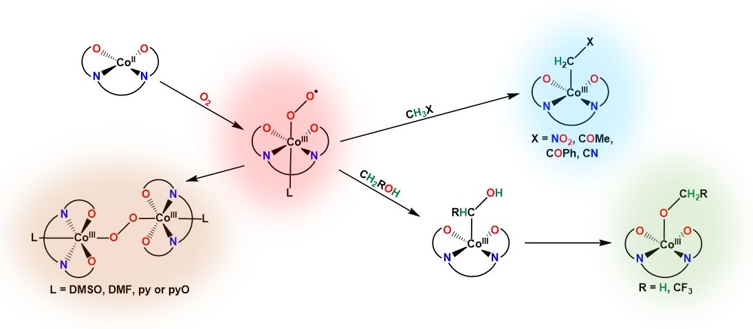 No2- molecular orbital diagram