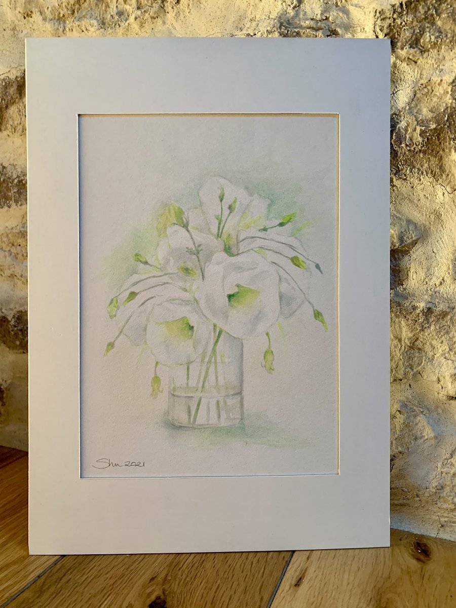 shumilne's tweet photo. On the Gallery Wall today - White &amp; Green Lisianthus.  These beautiful Lisianthus symbolise gratitude &amp; appreciation
A4 signed original watercolour in card mount = £38
or signed, limited edition prints, also A4 in card mount = £18  Plus P&amp;P - p.s. I ship worldwide in any currency https://t.co/aRVrxnzkhi