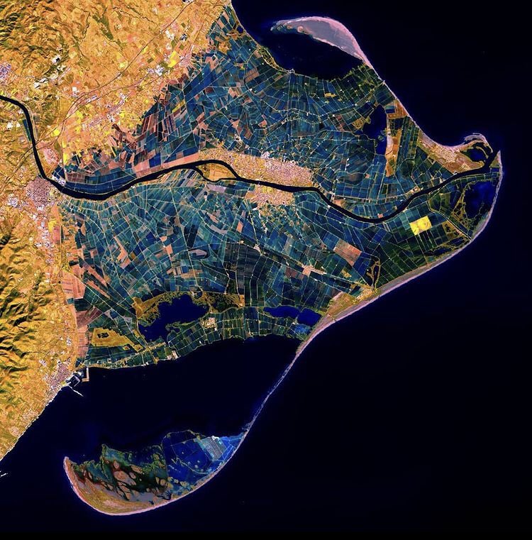 Danideldelta tweet media