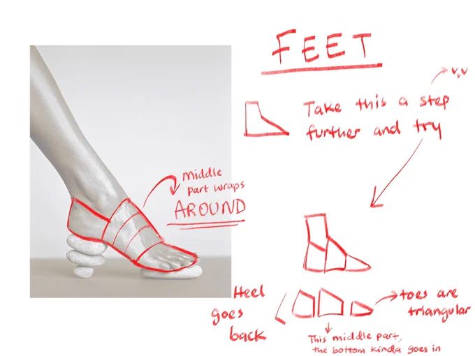 A tracing exercise to help you get better at feet :D !! This is a step forward to understanding how feet are in 3d! After tracing some refs, try drawing some from your imagination !!
(I swear the step puns are unintentional) 