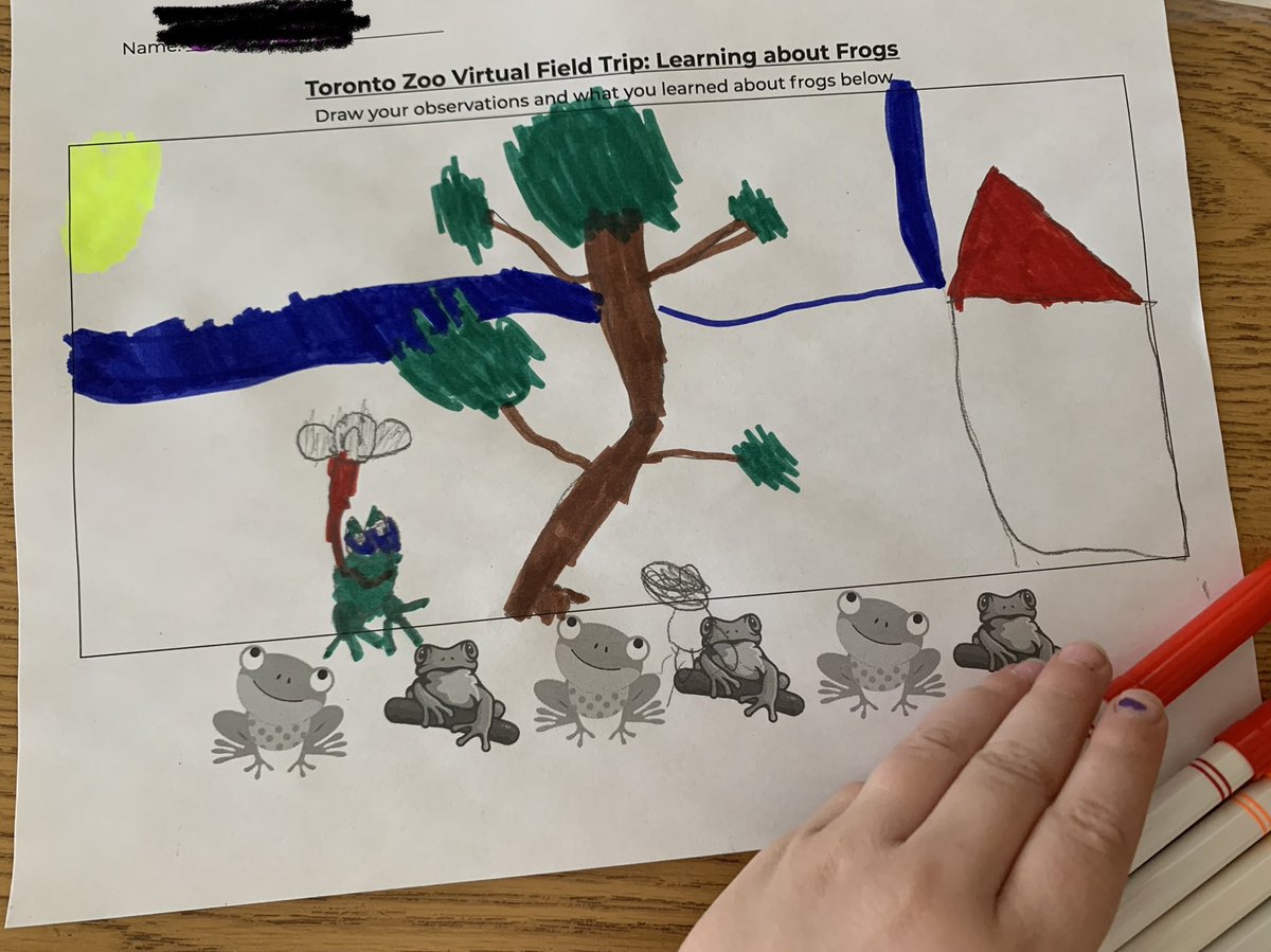 MsOmand's tweet photo. Today we “travelled” to the Toronto Zoo to learn all about exotic and Ontario native species of frogs! 🐸Thanks @EBTSOYP 🤓 #VirtualFieldTrips https://t.co/QSThWpQUCj