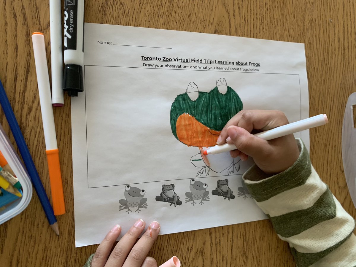 MsOmand's tweet photo. Today we “travelled” to the Toronto Zoo to learn all about exotic and Ontario native species of frogs! 🐸Thanks @EBTSOYP 🤓 #VirtualFieldTrips https://t.co/QSThWpQUCj