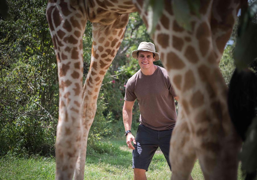 At just a few days old, Tala the giraffe was brought to Mugie by a local herder after she began following his herd of goats. Now four years old, she wanders freely within the conservancy, but often returns to her chosen ‘home’ at the headquarter!