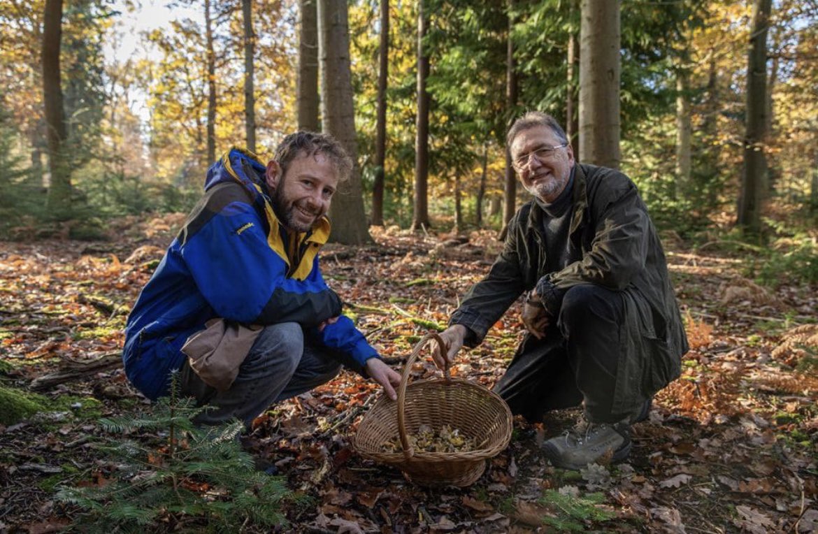 WildFoodUK's tweet photo. Check out ITV at 11:40am tomorrow to see what Marlow and Raymond got up to in the woods !! #itv #DontMissOut #mustsee #wildfooduk #foraging #foodies #futureisforaging https://t.co/YDv9x1onIx