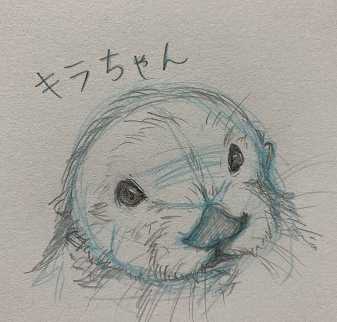 鳥羽水族館のtwitterイラスト検索結果 鳥羽水族館のtwitterイラスト検索結果
