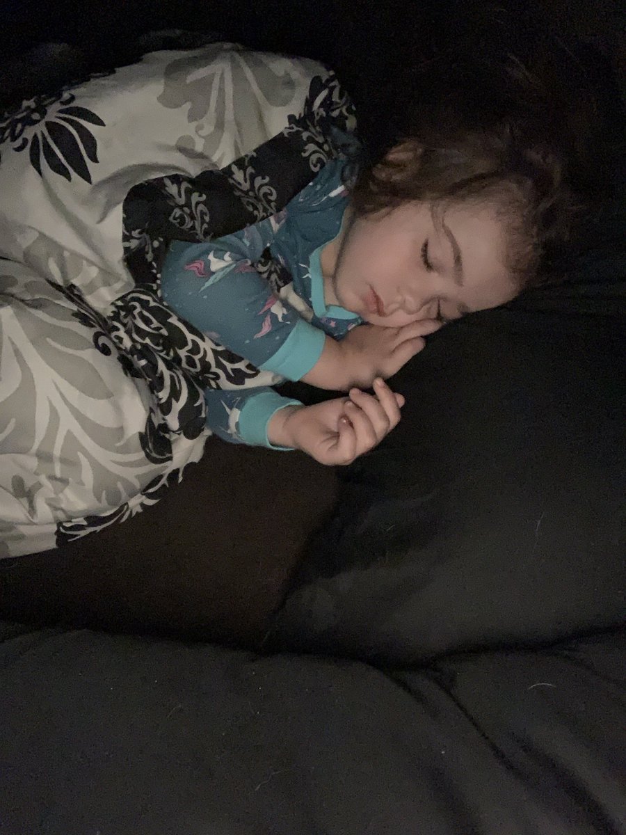OhHeyLindey's tweet photo. She’s so peacefully when she’s sleeping. https://t.co/8xhnkLCctd