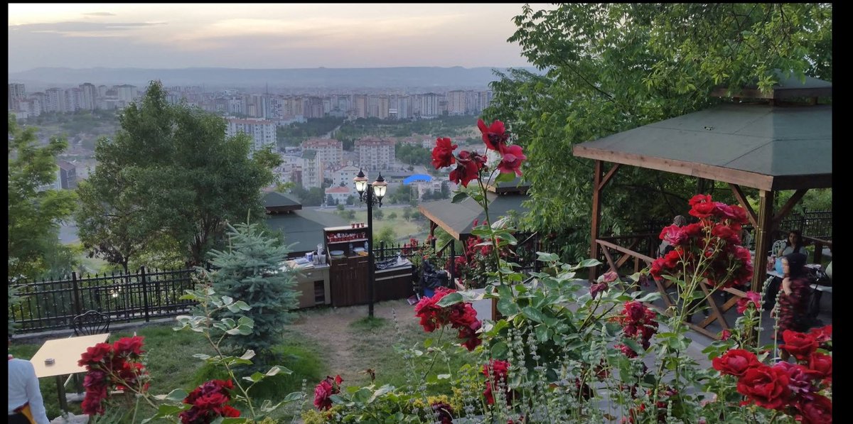 BahadrTucer's tweet photo. @csnaber İlla manzara diyorsan 3 tane yer var: 
1- Erguvan Restoran|Kaytur (belediyenin sosyal tesisi)
2- Tekir et mangal kahvaltı
3- Taşmekan et lokantası
(2-3 yan yana mekanlar) https://t.co/N152dEyVqH