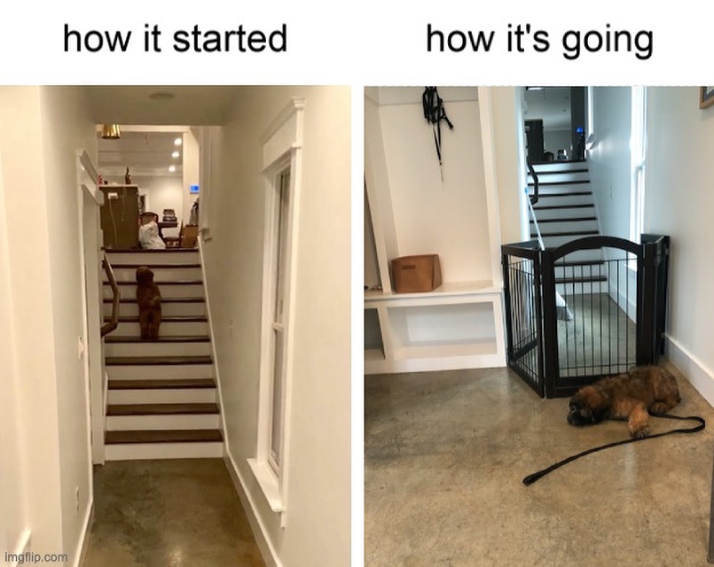 Katie Lentile tweet media