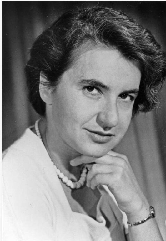 For our final day of #WomensHistoryMonth we celebrated the work of Rosalind Franklin who paved the path for women in science nowadays, thank you for being such an inspiration! 🧬 <a href="/PrimaryElaine/">Elaine Primary</a> <a href="/InspireSELondon/">not in use</a>