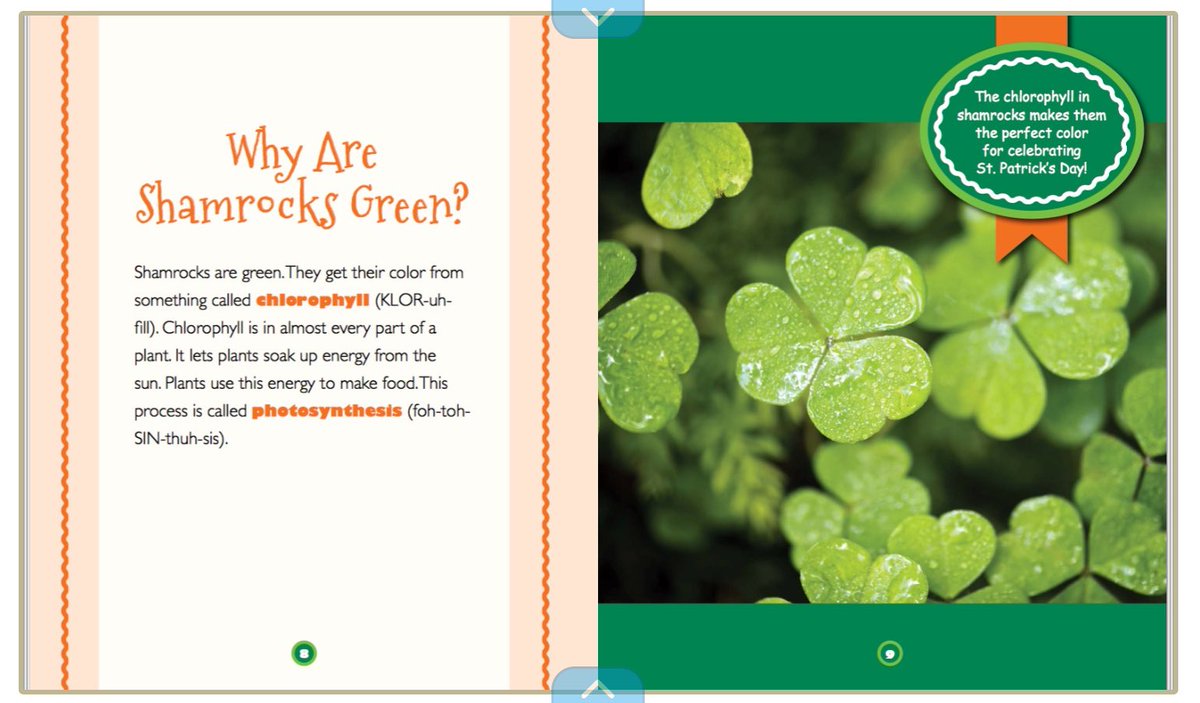 WolfPackClass's tweet image. To celebrate St. Patty’s Day ☘️, we read a collection of @epic4kids books on various levels, created @MicrosoftEDU Forms quizzes, &amp;amp; shared them with each other to test our understanding. Lots of fun.💚Super LUCKY to be their teacher. ☘️