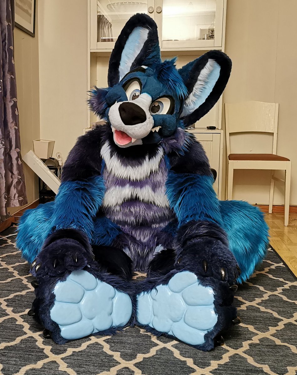 Showing you my beans this #FursuitFriday!

👔 - @morefurless
📷 - by me!