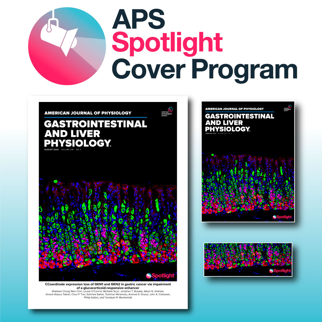 *NEW* APS Spotlight Cover Program gives authors a custom solution to showcase their work. Learn more: ow.ly/cTnN50E3g4O #ScienceArt