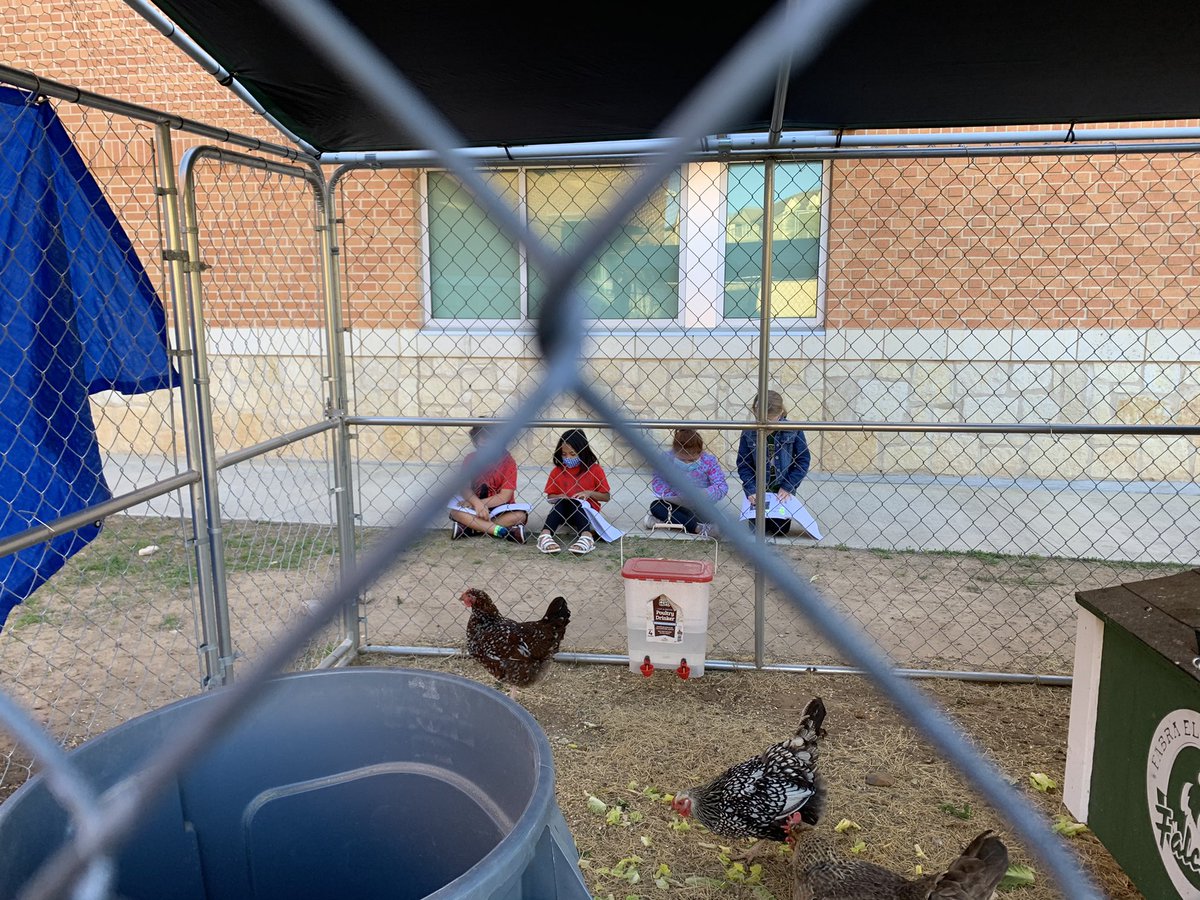 Melania Ionescu tweet media