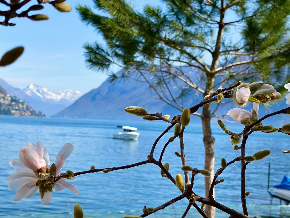 GloriaSamadhi's tweet photo. Switzerland today 🇨🇭*¨(✿◠‿◠)☼... 🇨🇭 🌞🌞💖
#Switzerland #gloriasamadhi #LoveSwitzerland 💖 #HOH #bandb #hotel
#GloryMoments #inspiration #mindfulness #leadconsciously #HotelSwitzerland #HouseofHarmonySwitzerland #travel #badandbreakfastSwitzerland https://t.co/ijH0Mmjdq3