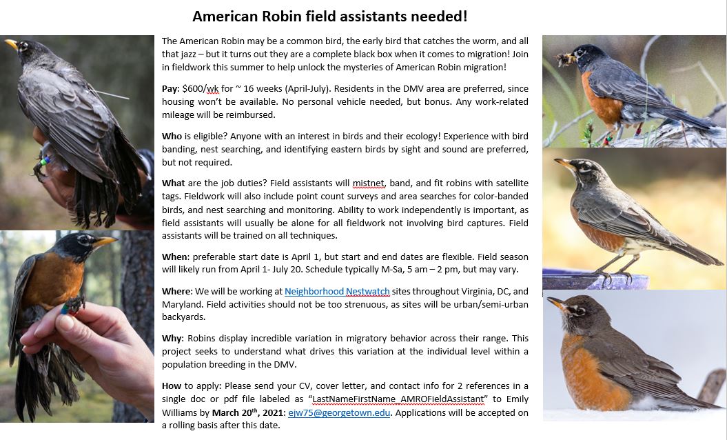 SMBC's tweet image. Interested in unlocking the mysteries of American Robin migration with SMBC&apos;s Neighborhood Nestwatch? Paid #FieldAssistant position available in the DMV area working on capture, banding, tagging, surveys, and nest monitoring. Application details below: