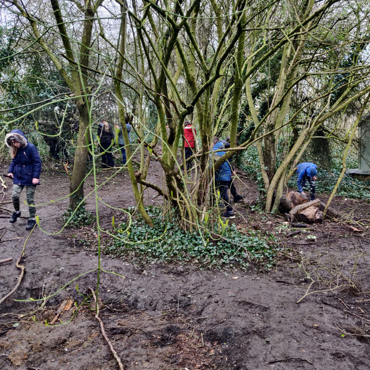 highcliffeps's tweet image. Year 6s first ‘Enrichment Afternoon’ was a huge hit! 6KM loved their first Forest School session 💚 #justkeepdigging