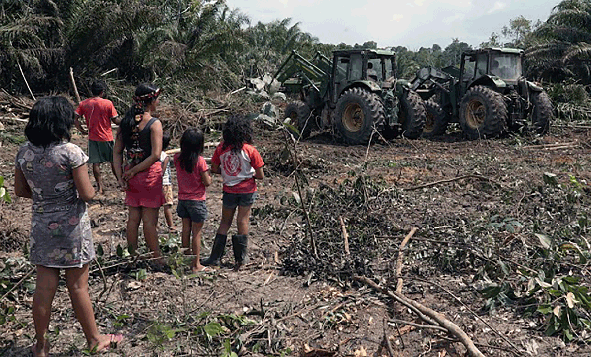 mongabay_brasil's tweet photo. Durante os últimos 18 meses, a Mongabay investigou denúncias de abusos por empresas de óleo de palma, o que aparenta ser um padrão em toda a indústria quanto ao desrespeito pela preservação e pelos direitos de comunidades tradicionais.

Por @karlamendes 

https://t.co/2K3eFh7DgQ https://t.co/k1sodjv7gc