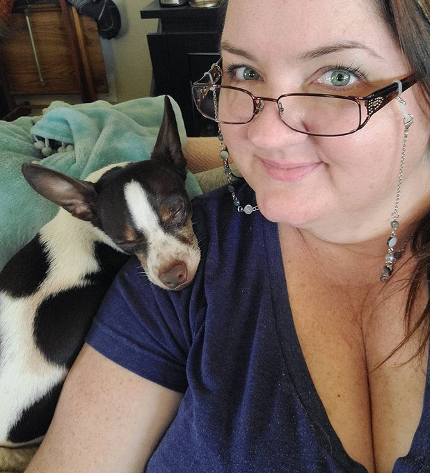 All 3 fur babies had a nice nearly clean bill of health! One has not great teeth, but a good cleaning<a href="/tag/mvsales"class="tags"><span>#mvsales</span></a>