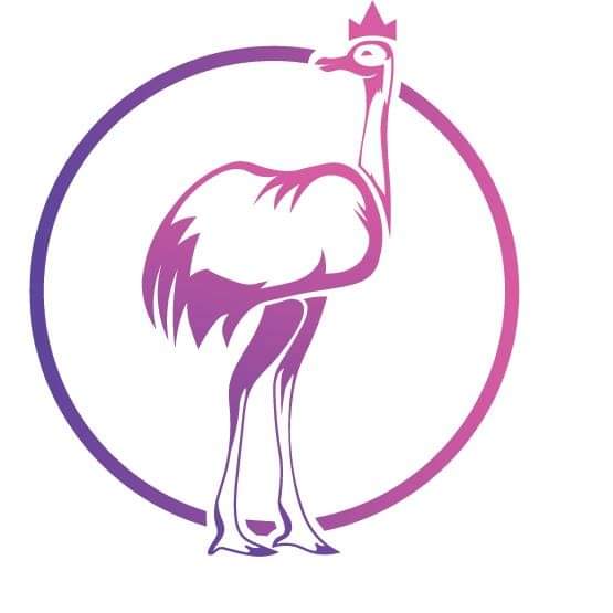 Tracy Lange (@tracylangemetro) on Twitter photo 