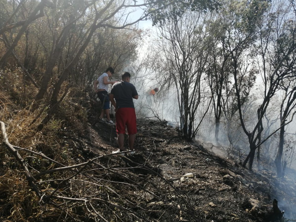 Protección Civil Gpe. N.L. tweet media