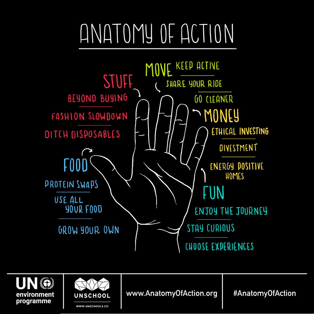 ximenashares's tweet photo. First day of #AnatomyofAction for Sustainable Lifestyle.
Join the Challenge and make a difference ✨ https://t.co/b0aWlsUM7x