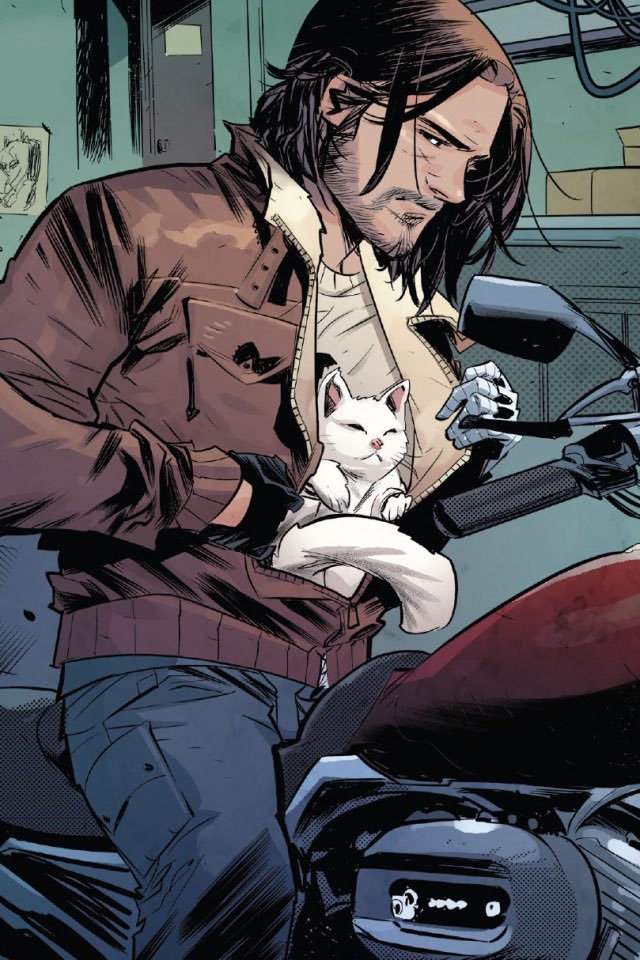 #FalconAndTheWinterSoldier Now give Bucky Barnes an emotional support cat n...