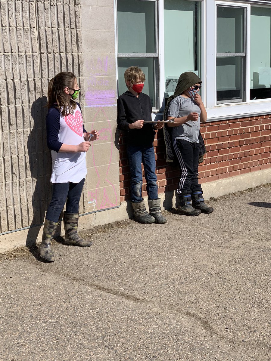 Whale Size Measurements and Proportional Reasoning at CDPS-just how big are some types of whales in comparison to us? #outdoorlearning #RCDSB #inspiredlearning @RCDSB <a href="/MrsWroeQEPS/">Mrs. Wroe</a> <a href="/RocknFraser/">Patricia Fraser</a>