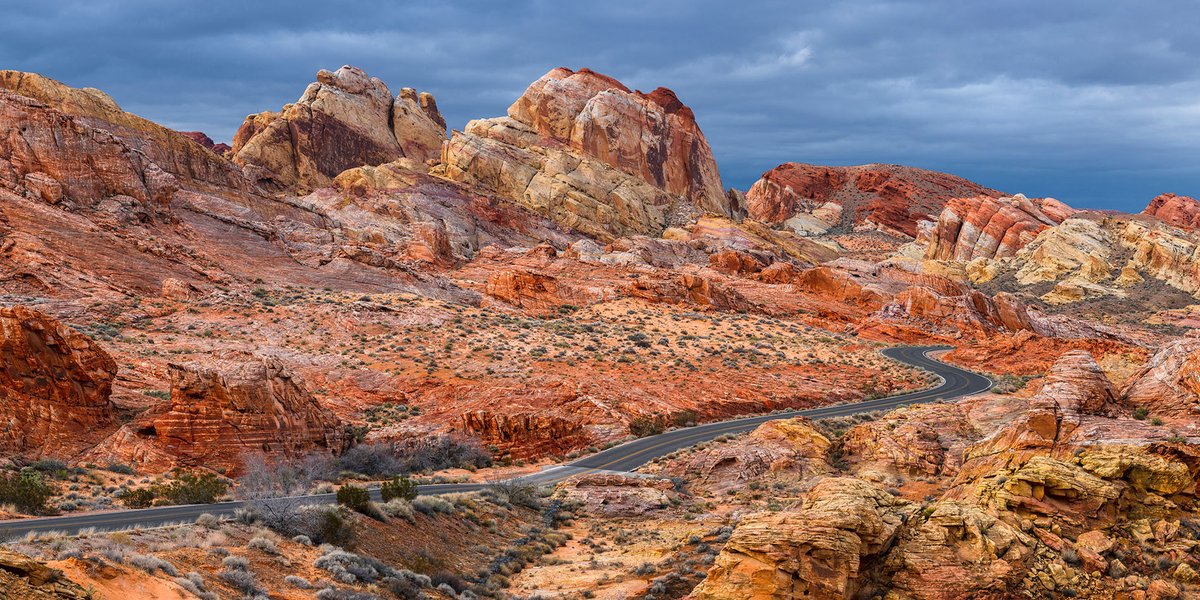 Lori Lo Duca tweet media