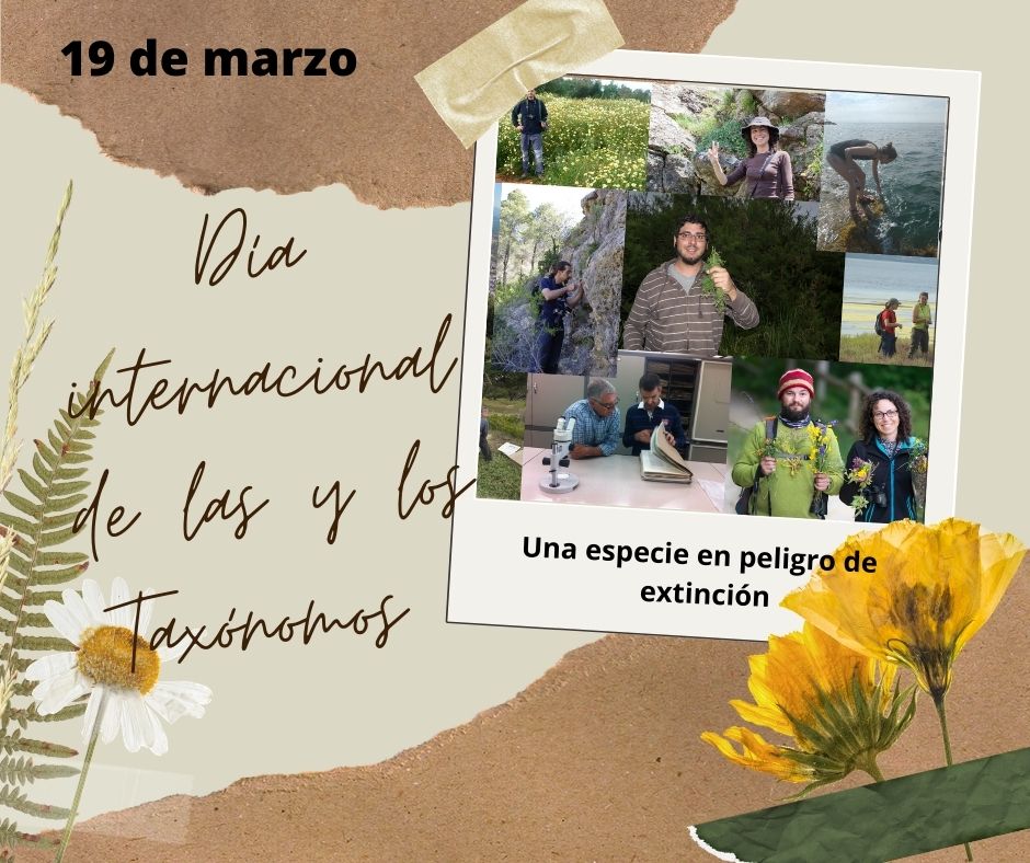 botcove's tweet photo. Feliz día... https://t.co/QNYjl1shfY