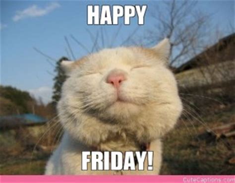 Will Seippel tweet media