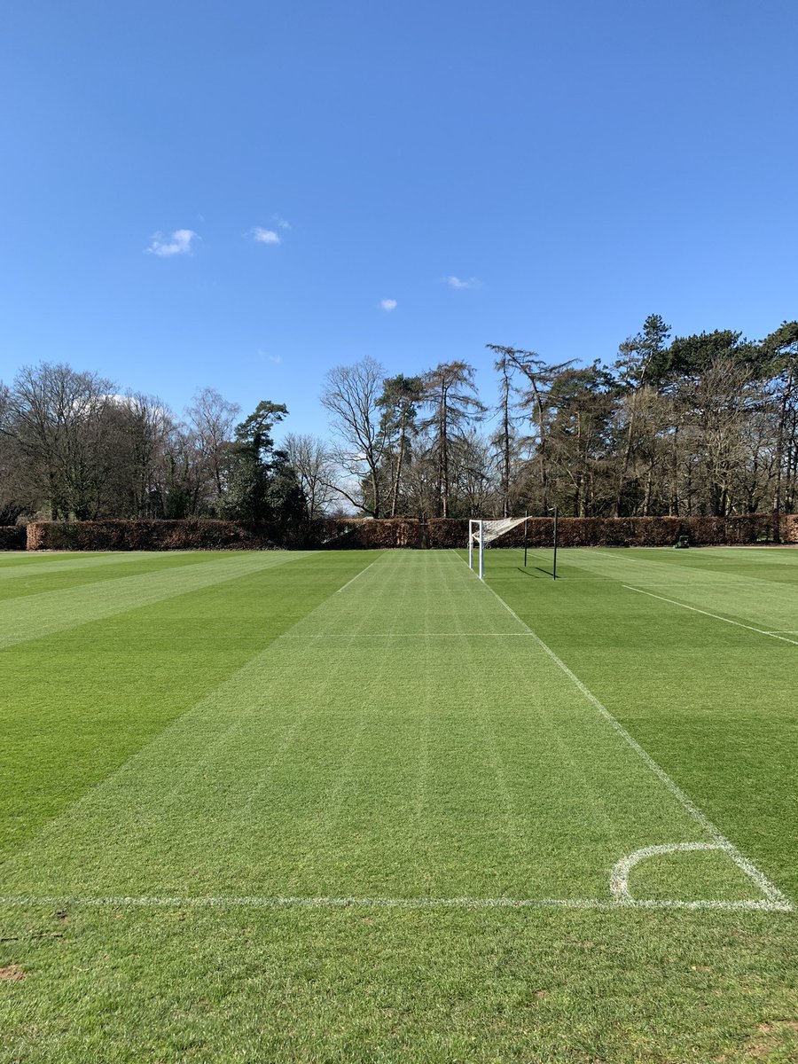 Spring is in the air 🌱✂️ ☀️