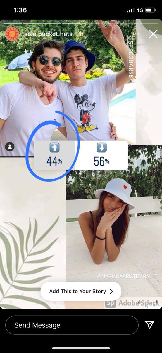 Simon Escobar tweet media