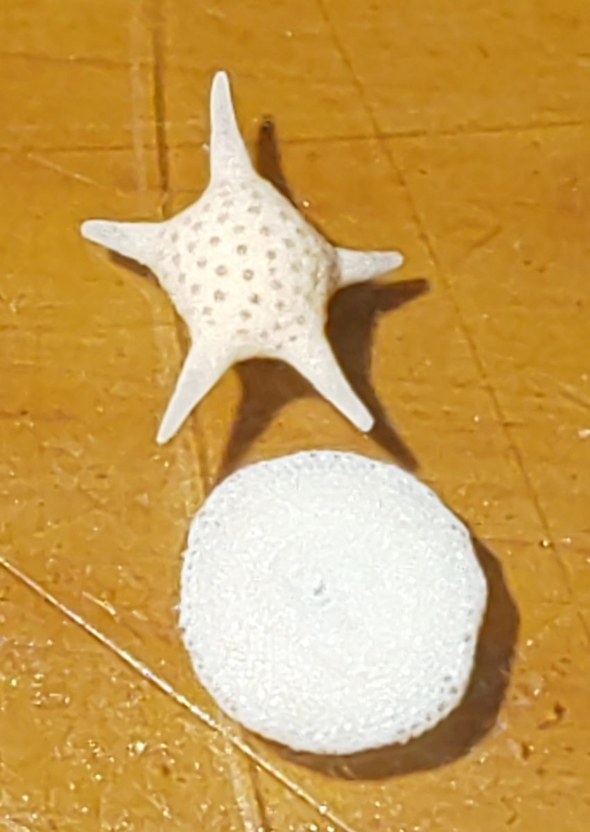 かつ 趣味の部屋 星砂のアップしてみると 銭石 がありました 星砂が拾える場所では 太陽の砂 銭石 土星 の砂も期待出来ます 銭石というと 球状花崗岩をいう場合もあるようですが全く別のもの さらに 貨幣石 というのもあって かつ 趣味の部屋 星砂のアップしてみると 銭石 がありました 星砂が拾える場所では 太陽の砂 銭石 土星 の砂も期待出来ます 銭石というと 球状花崗岩をいう場合もあるようですが全く別のもの さらに 貨幣石 というのもあって