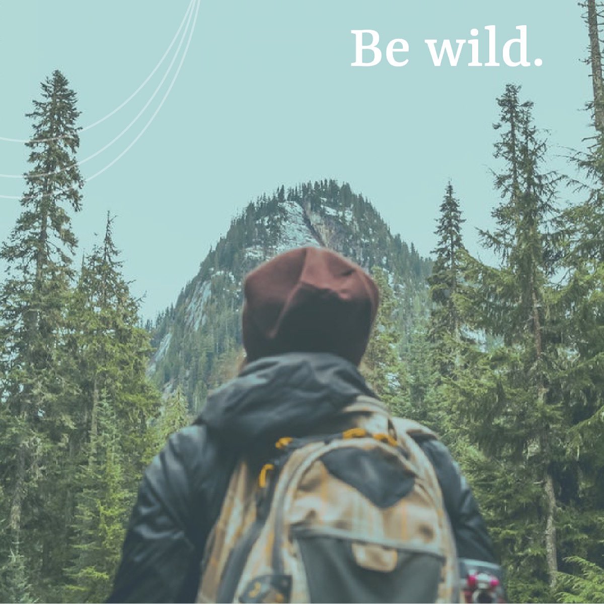 Off The Grid Agency tweet media