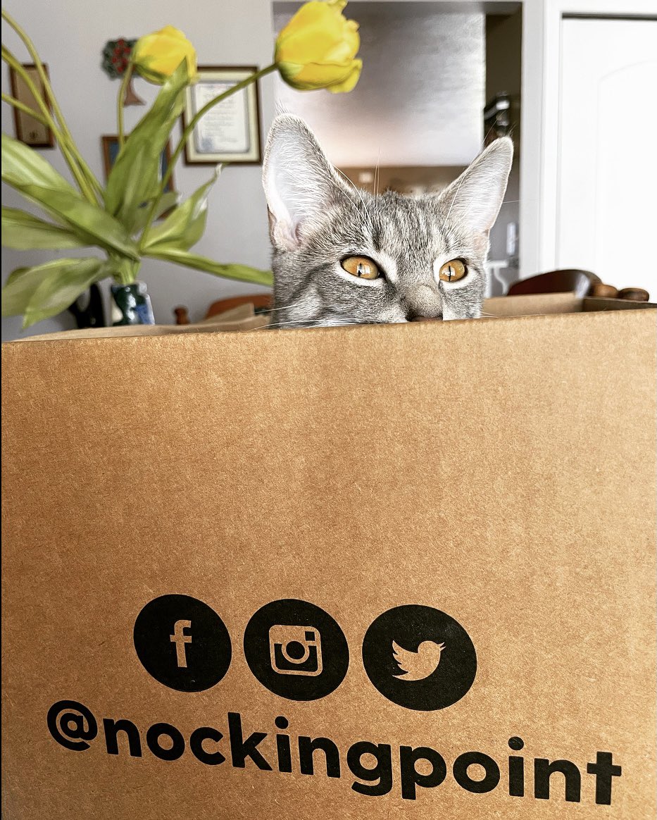 xxs121's tweet photo. A cat and her box 😻📦🍷@nockingpoint https://t.co/3H2Xp6dd6F