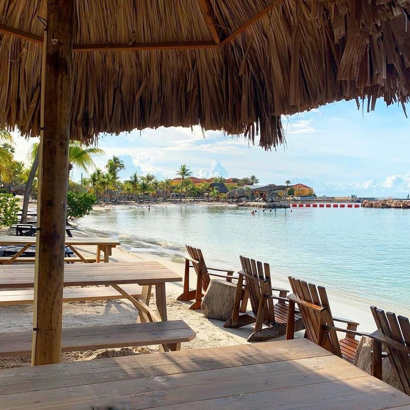 MappedJ's tweet image. How relaxing does this look? Curaçao in the Southern Caribbean is known for its beautiful beaches and coral reefs full of marine life. And there’s no place we’d rather be than at sea and living the island life! 😎

#mappedout #safetravels #travelagentcalgary #cruisespecialist