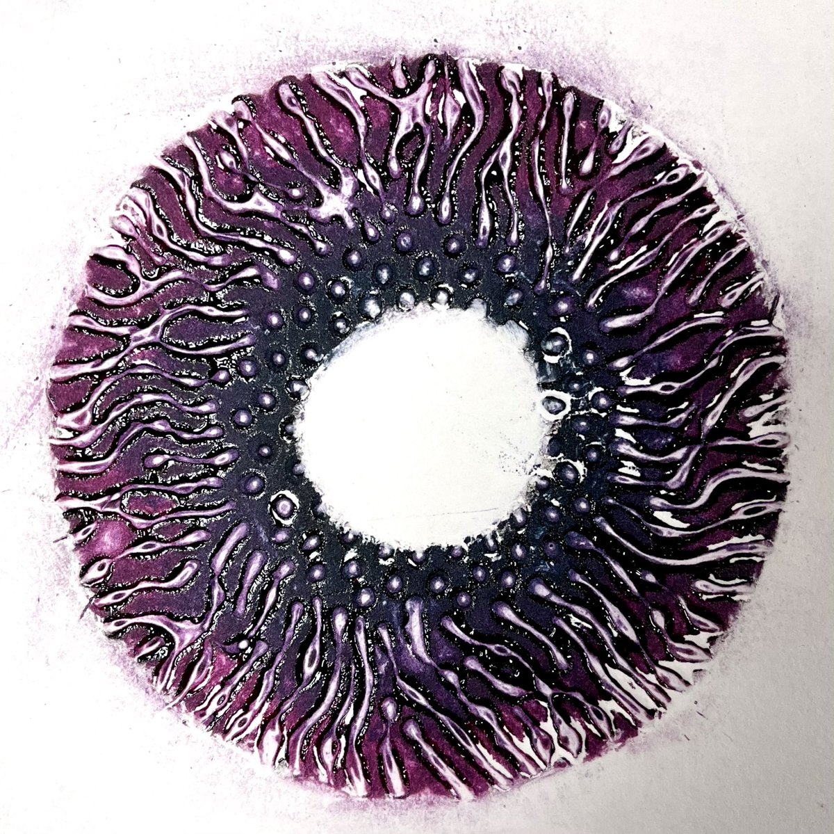 cantoodesign's tweet photo. Collagraph prints from a recent session from my Petri series #petri #collagraph #printing #wip https://t.co/0IZV8seObL