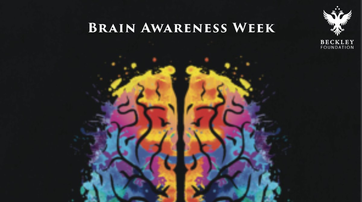 BeckleyResearch's tweet image. Today&apos;s the last day of #BrainAwarenessWeek2021, educating folks about exciting developments in neuroscience.

We see #psychedelic research as its most exciting frontier, helping us to understand more about ourselves, each other, and our place in the world.

What do you think? 🧠