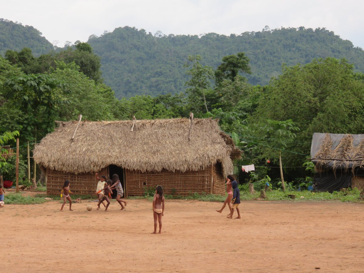 Tradição e Futuro na Amazônia tweet media