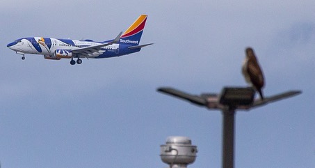 Southwest Airlines tweet media