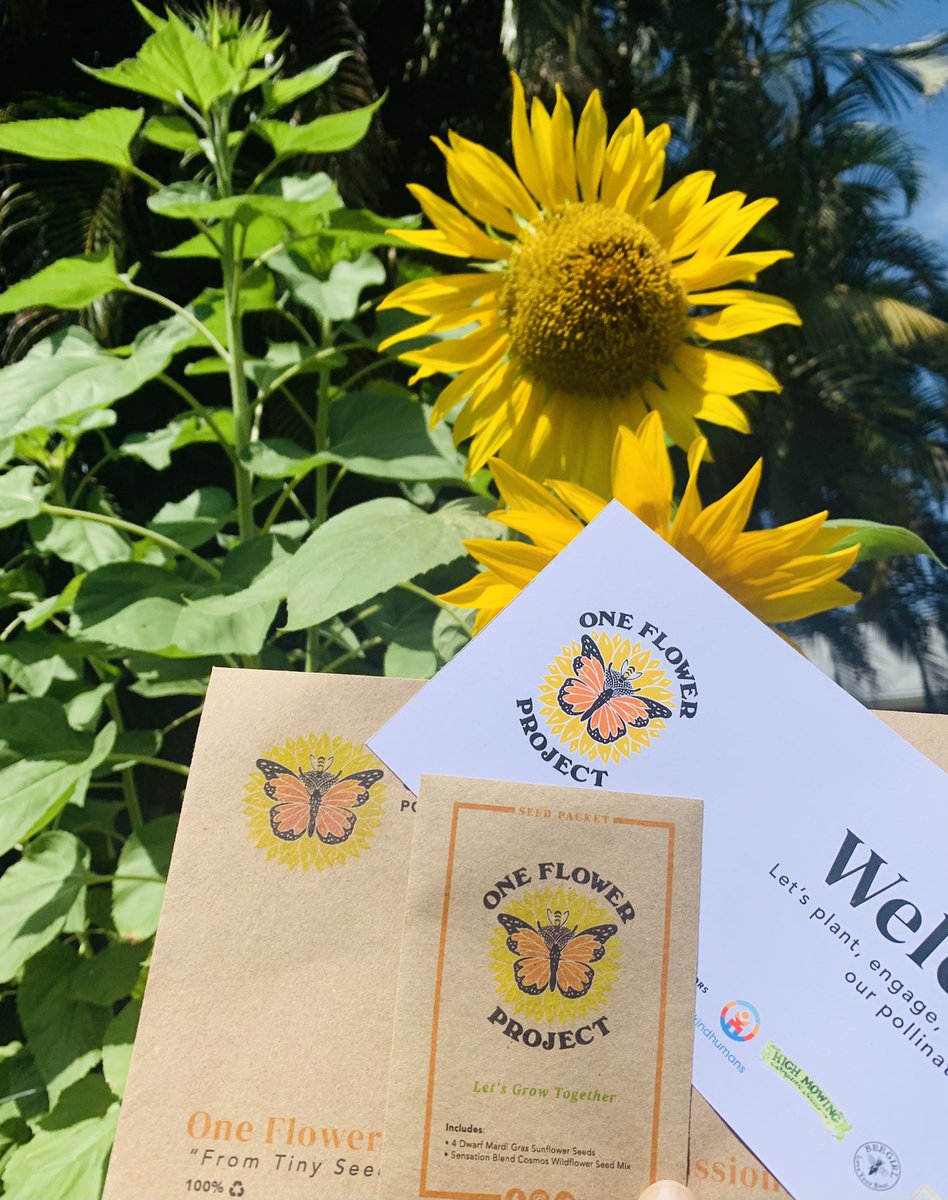 OneFlowerProject tweet media